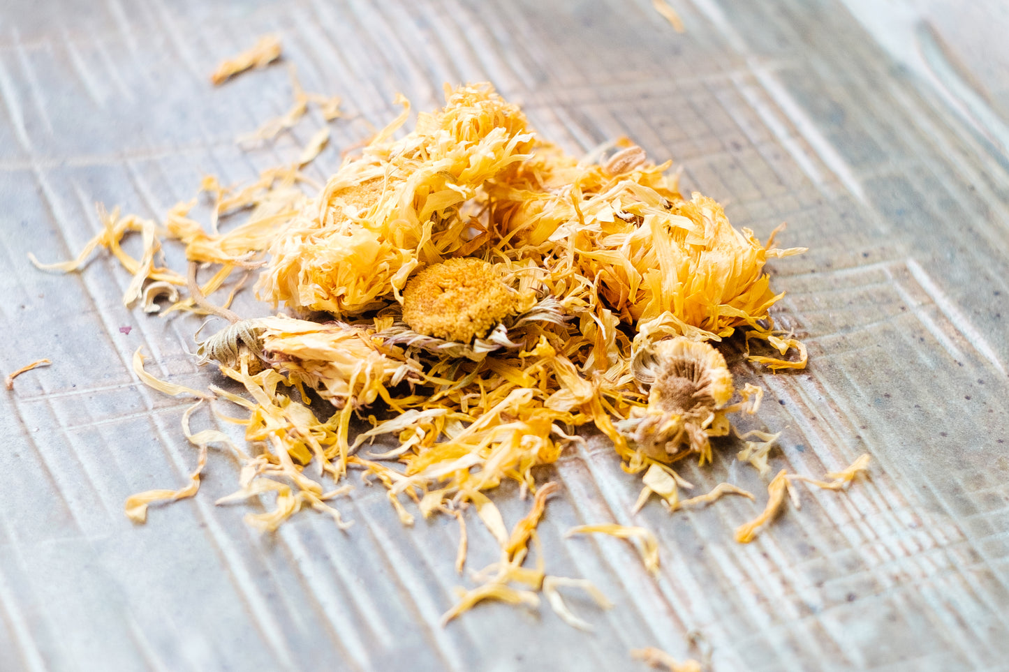 Marigold (calendula)