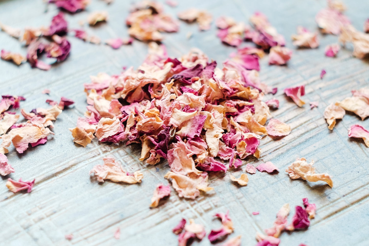 Rose Petal (Rosa canina)