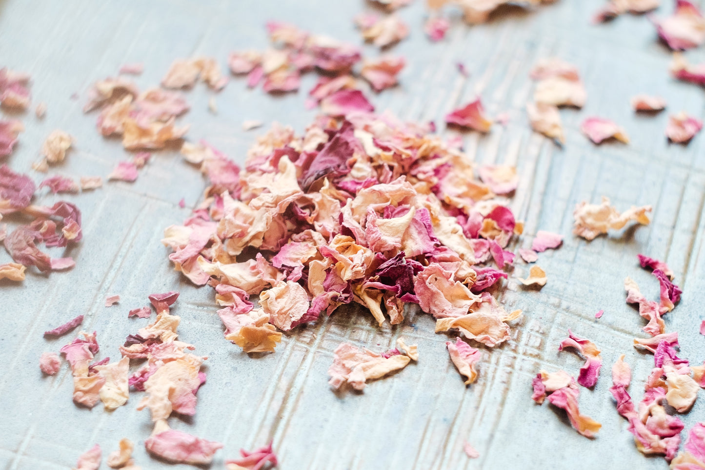 Rose Petal (Rosa canina)
