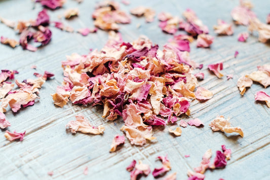 Rose Petal (Rosa canina)